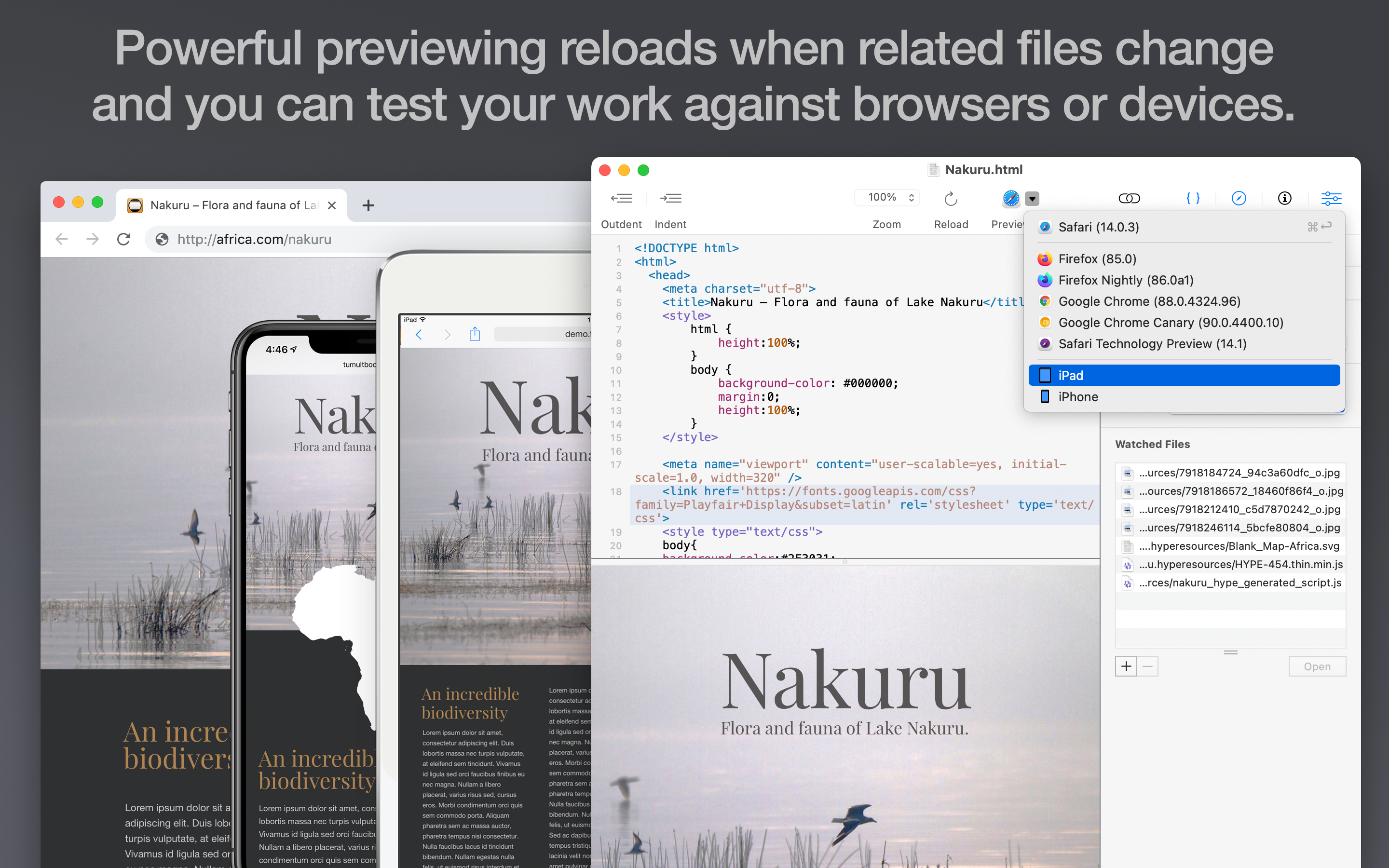 Powerful previewing reloads when related files change and you can test your work against browsers or devices.
