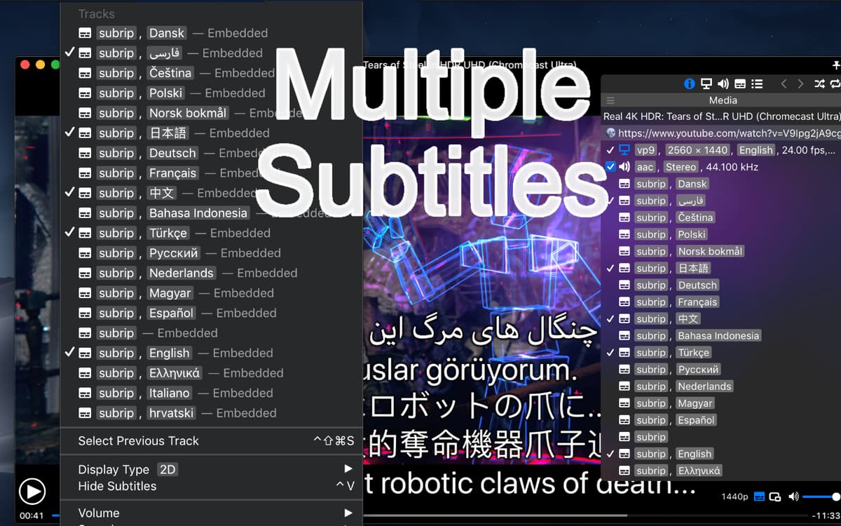 Multiple Subtitles