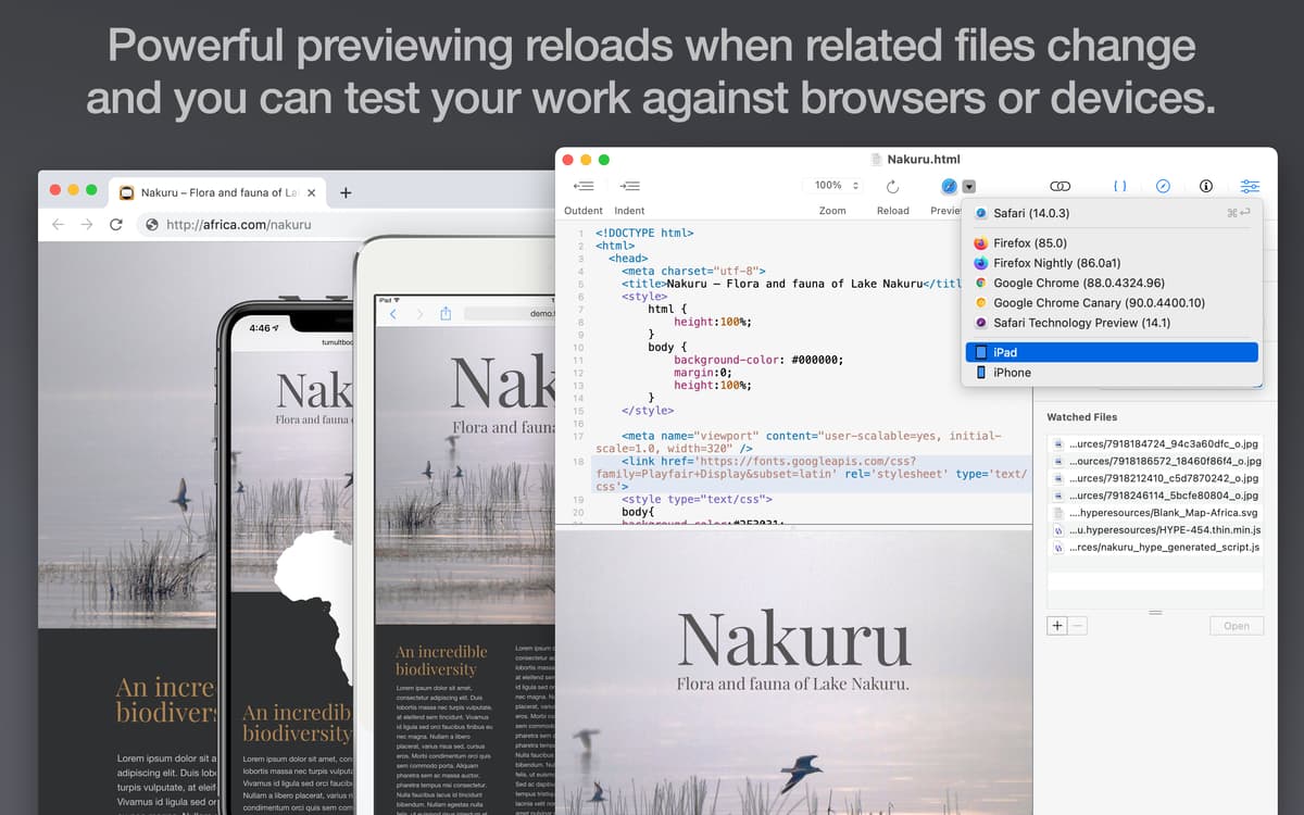 Powerful previewing reloads when related files change and you can test your work against browsers or devices.